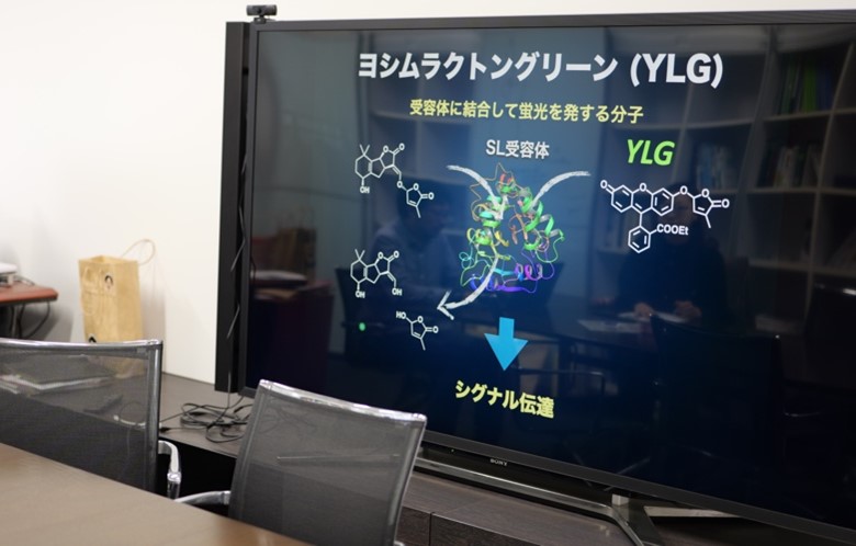 ヨシムラクトングリーン
