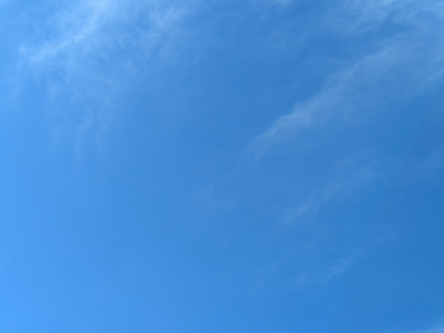 青い空 | 理 philosophia online